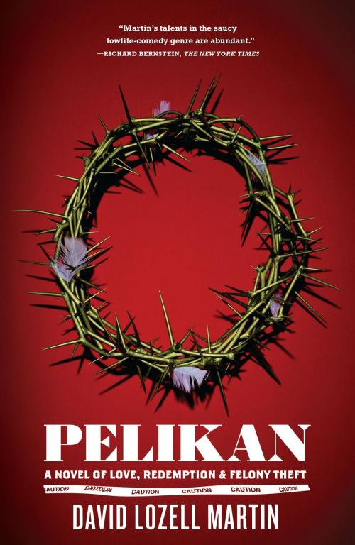 Cover of the book Pelikan by David Lozell Martin, Simon & Schuster