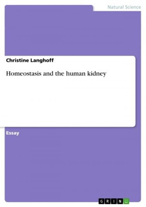 Cover of the book Homeostasis and the human kidney by Christine Langhoff, GRIN Publishing