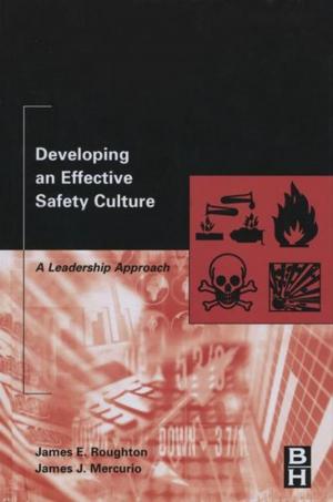 Cover of the book Developing an Effective Safety Culture by Z.K. Walczak