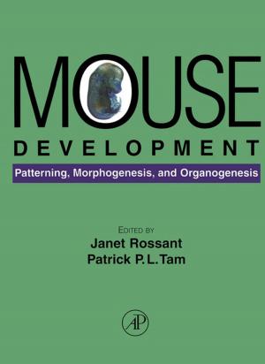 Cover of the book Mouse Development by Stephen Andrilli, David Hecker