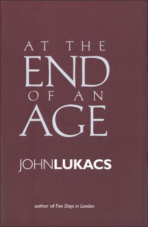 Cover of the book At the End of an Age by Berel Lang, Ariella Lang