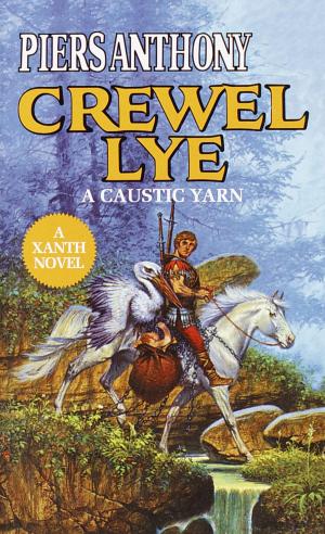 Cover of the book Crewel Lye by Caroline Fardig