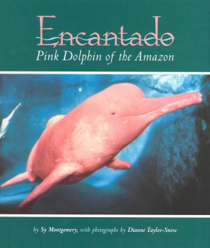 Cover of the book Encantado by Amy Ludwig VanDerwater