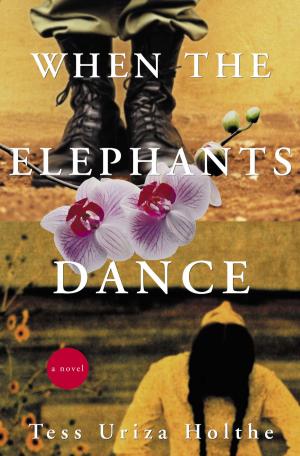 Cover of the book When the Elephants Dance by Lori Ann Bailey