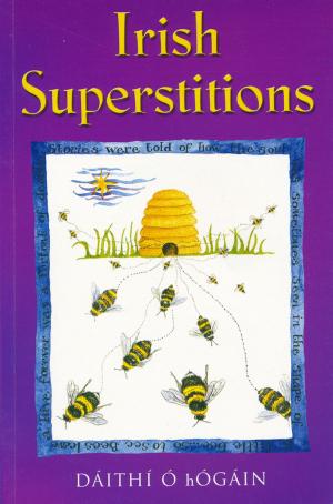 Cover of the book Irish Superstitions by David McWilliams