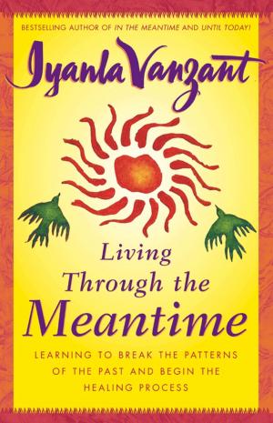 Cover of the book Living Through the Meantime by Lisa Duffy