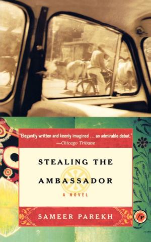 Book cover of Stealing the Ambassador