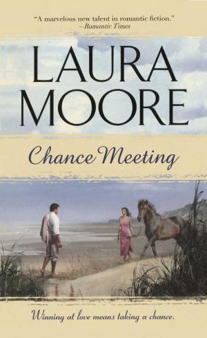 Cover of the book Chance Meeting by Liz Carlyle