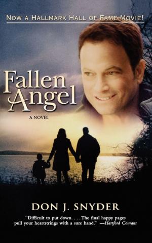 Cover of the book Fallen Angel by Betsy Myers, Warren Bennis, John David Mann