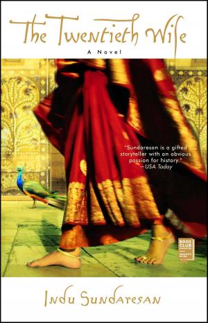 Cover of the book The Twentieth Wife by Amy Borkowsky
