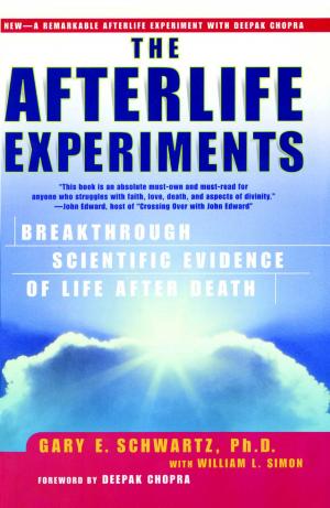 Cover of the book The Afterlife Experiments by Lauren Scheuer
