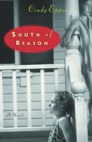 Cover of the book South of Reason by Patricia Scanlan