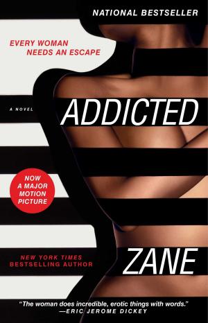 Cover of the book Addicted by INXS Publications