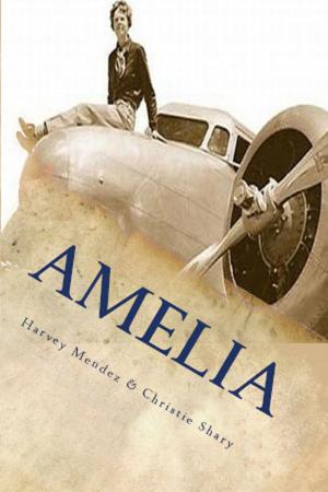 Cover of the book Amelia by Daniel Viau
