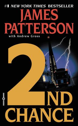 Cover of the book 2nd Chance by James Patterson