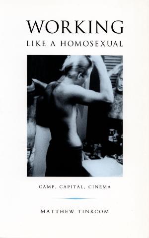 Cover of the book Working Like a Homosexual by Beth Fowkes Tobin