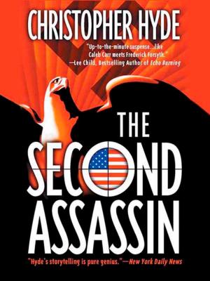 Cover of the book The Second Assassin by Jeanne C. Stein