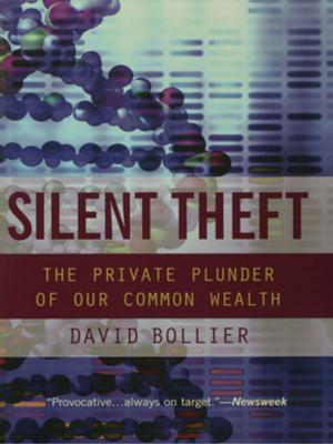 Book cover of Silent Theft