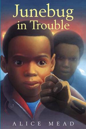 Cover of the book Junebug in Trouble by Janet McDonald