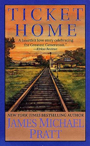 Cover of the book Ticket Home by Steve Berry