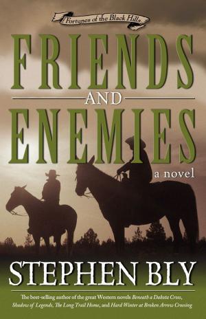 Cover of the book Friends and Enemies (Fortunes of the Black Hills, Book 4) by Regi Campbell