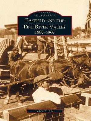 Cover of the book Bayfield and the Pine River Valley 1860-1960 by Faith Serafin