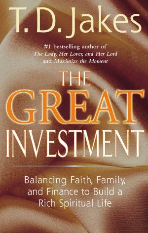 Book cover of The Great Investment