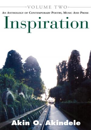 Cover of the book Inspiration by Molly Stringer
