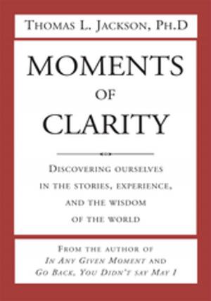 Book cover of Moments of Clarity
