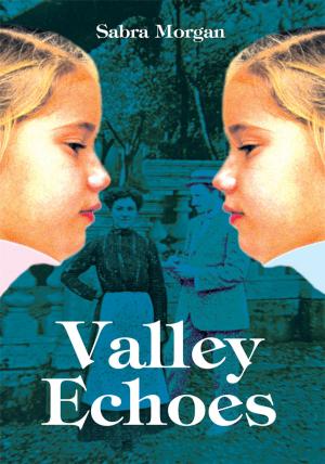 Cover of the book Valley Echoes by Jane Bennett Munro