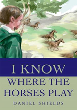 Cover of the book I Know Where the Horses Play by Blanche Renard Putzel
