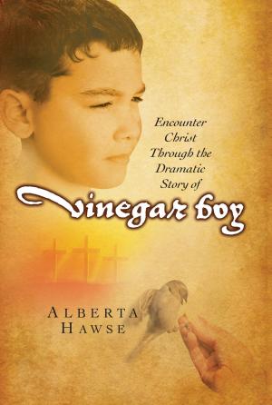 Cover of the book Vinegar Boy by Jocelyn Green