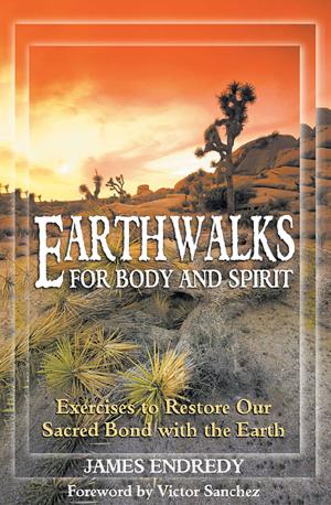 Cover of the book Earthwalks for Body and Spirit by Tony Samara