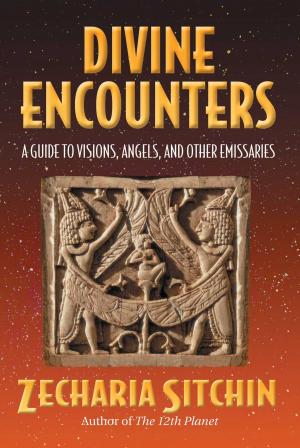 Book cover of Divine Encounters