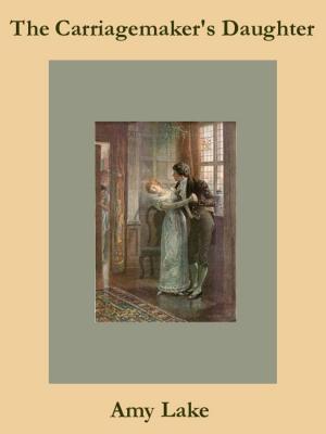 Book cover of The Carriagemaker's Daughter