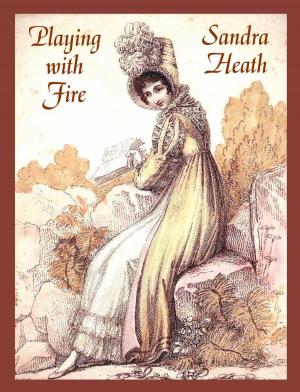 Cover of the book Playing with Fire by Carola Dunn