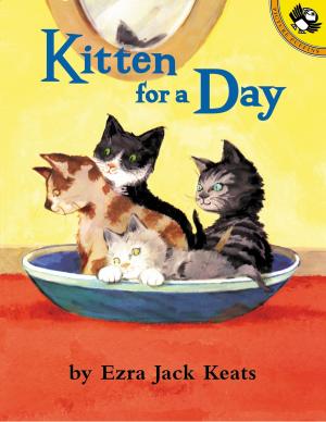 Cover of the book Kitten for a Day by Nancy Holder