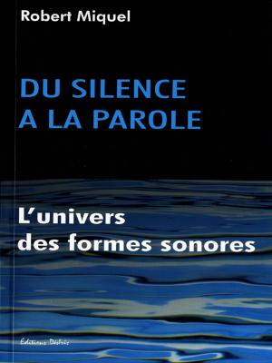Cover of the book Du silence à la parole by Pierre-Brice Lebrun