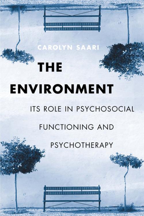 Cover of the book The Environment by Carolyn Saari, Columbia University Press