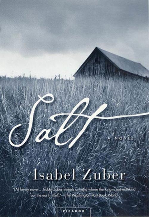 Cover of the book Salt by Isabel Zuber, Picador