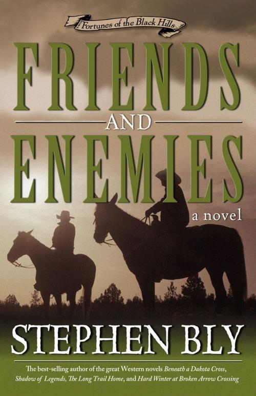 Cover of the book Friends and Enemies (Fortunes of the Black Hills, Book 4) by Stephen  A. Bly, B&H Publishing Group