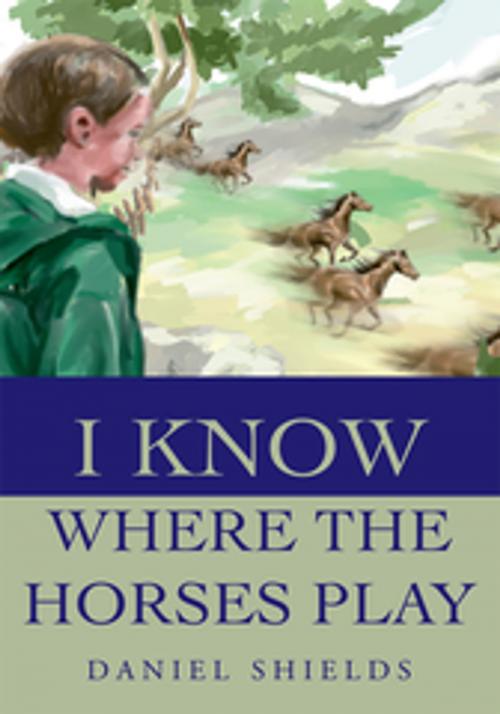 Cover of the book I Know Where the Horses Play by Daniel Shields, iUniverse