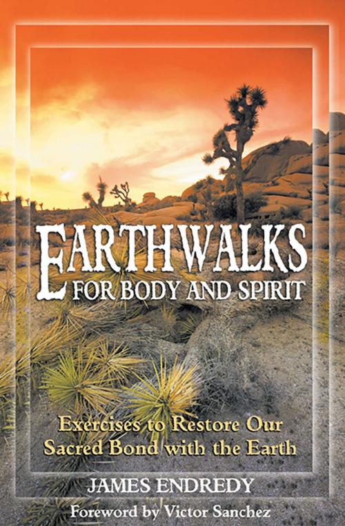 Cover of the book Earthwalks for Body and Spirit by James Endredy, Inner Traditions/Bear & Company