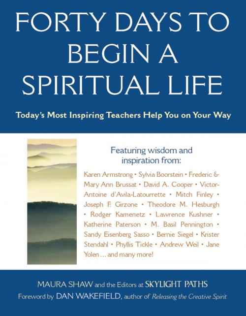 Cover of the book Forty Days to Begin a Spiritual Life by Maura Shaw, SkyLight Paths Publishing