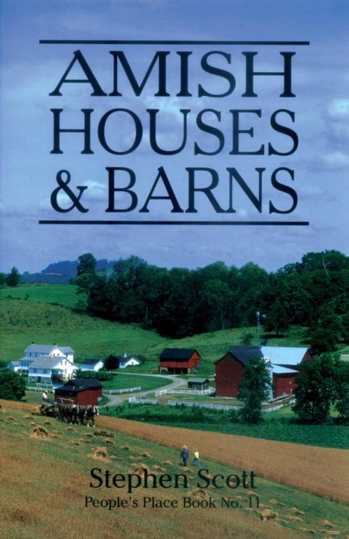 Cover of the book Amish Houses & Barns by Stephen Scott, Good Books