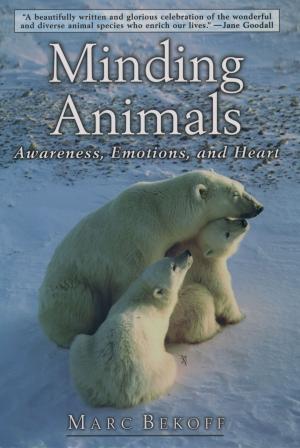 Cover of the book Minding Animals by Uta Gräf, Friederike Heidenhof