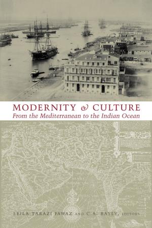 bigCover of the book Modernity and Culture by 