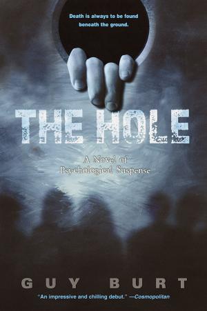 Cover of the book The Hole by Luke Barber, Matt Weinstein