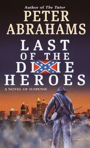 Cover of the book Last of the Dixie Heroes by Anthony Everitt