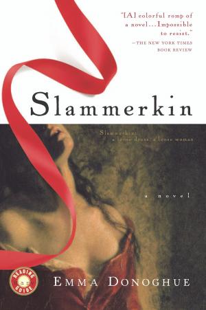 Cover of the book Slammerkin by Carolyn MacCullough